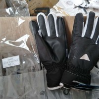 winter lady gloves,ski gloves.snow gloves, outdoor gloves,