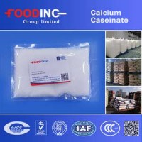 Food Additive Calcium Caseinate