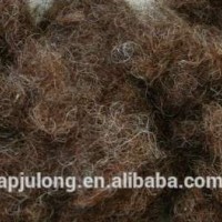 Alibaba Sale Curled Horse Hair For Padding