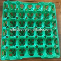 Factory Price Plastic Tray With Holes/plastic Egg Tray For Sell With High Quality