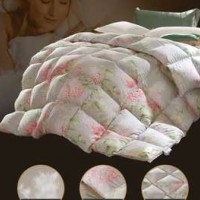 Factory OEKO-TEX 100 100% Goose Duck Down Duvet Quilt Comforter Printed