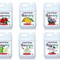 Blue-King Wholesale Hand Wash Liquid Hand Soap With Vitamin E 5L