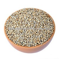 Pearl Millet | Indian Pearl Millet