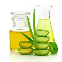Aloe Vera Oil | Aloe Vera Essential Oil | Pure And Natural Aloe Vera Oil With High Quality