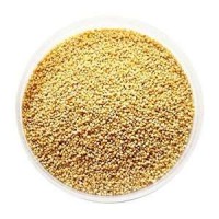 Foxtail Millet | Indian Foxtail Millet | Organic Foxtail Millet Seed