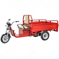 2017 New Arrival 800kgs Big Loading Capacity Cargo Electric Tricycle Adults