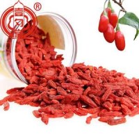 Barbary Wolfberry Fruit Dried Red Medlar Berries For Dropshipping