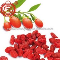 Ningxia Dried Goji Berry Gouqi Fruit Ningxia Goji Berries Dried Fruit Product