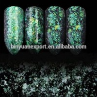 2017 BIN Nail Cosmetic Powder Trans Chameleon Pigment