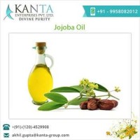 Superior Quality Jojoba Oil Available For Skincare Products