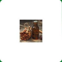 Pure Organic Cinnamon Spice Oil India Hot Sale