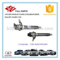 1112100-E06 Great Wall Hover 2.8TC Fuel Injector
