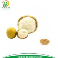 100% Natural Sweetener 10%~55% Mogroside V Organic Luo Han Guo Extract