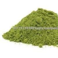Best Nutritional Supplement Food Grade Moringa Leaf Powder