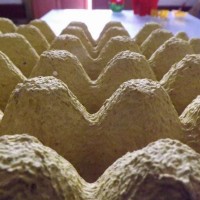 30 Eggs Recycle Paper Egg Tray