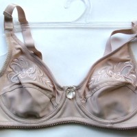 Embroidery Lace Satin Soft Cup Underwire Bra