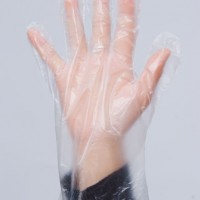 Disposable PE Clear Plastic Waterproof Glove for Food