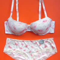 Women's Underwear Bra Set (ZT79U)