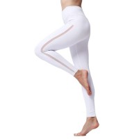 Sexy Mesh Quick Dry Elasticity Slim Fitness Yoga Running Pants