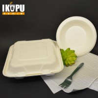 Biodegradable Bagasse Disposable Food Container Takeaway