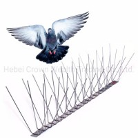 Factory Price Eco-Friendly Durable Stainless Steel Anti Bird Spikes