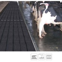 Holding Area Horse Stable Stall Dairy Rubber Groove Alley Floor Sheet