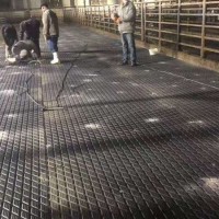 Cow Stable Mat/Rubber Stable Mat for Animals