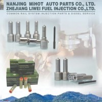 Common Rail Spare Parts Denso-G3 Series Nozzle for Liwei Brand