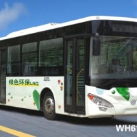 Huazhong Wh6120gng CNG City Bus