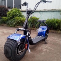 800W 48V Fat Tire Electric Scooter with Shock Absorber (MES-015)