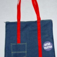 Ladies Bag  Ladies Shopping Bag (Tl6225)