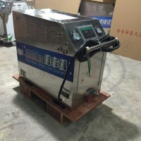 Wld2060 High Quality Steam Car Wash Machine for Sale