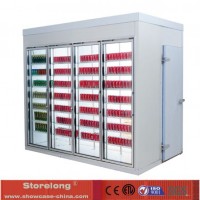 Glass Door Showcase Rear Stand Cold Room of Unti-Sweat