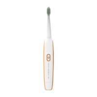Electric Toothbrush USB Rechargeable Rechangable Brush Head Factory Price