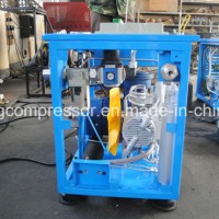 Home CNG Compressor for Car CNG Compressor Price (bx6cngc)