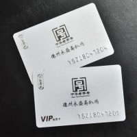 Custom Printing Cheap Plastic Loco/ Hico Magnetic Stripe Loyalty/Membership/VIP PVC Card with Emboss