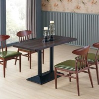 Modern Design Elegant Leisure Comfortable Metal Leg Table Chair for Living Room Restaurant Cafe and