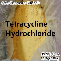 99.9% Pure Tetracycline Hydrochloride Powder 64-75-5