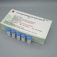 Cefotaxime for Injection/Cephalosporin/Powder for Injection