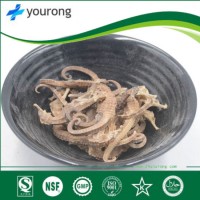 Chinese Herbal Medicine Hippocampus Has Such Medicinal Functions as Strengthening The Body  Calming