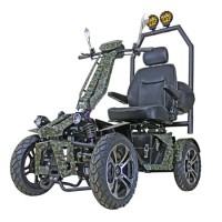 Solax Adjustable Four Wheels Automatic Scooter