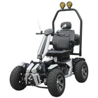 Powerfull off-Road Sporting Electrical Scooter