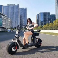2019 New 1500W City Coco Electric Scooter