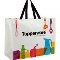 PP Woven Non Woven Shopping Tote Handbags  Cooler Bag  Woven Bag  Cotton Bag  Canvas Bag  Drawstring