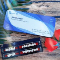 Shangchi High Quality Multi Layer Acrylic Resin Teeth