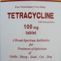 Oxytetracycline Tablet 100mg (Pet Drugs)