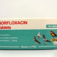 Norfloxacin Tablets 10mg (Pets Tablets)