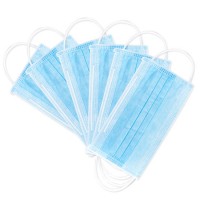 Disposable 3ply Face Mask with Earloop