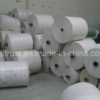 Tubular PP Woven Fabric in Roll B (12)