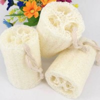 Sponge Luffa /Nature Loofah /Luffa /Towel Gourd